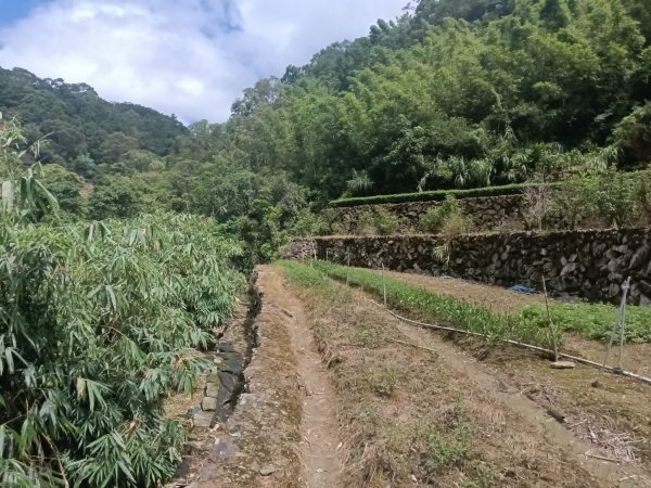 坪林區九芎坑古道+九芎坑圳沽古道+大舌湖山大小O型2845665