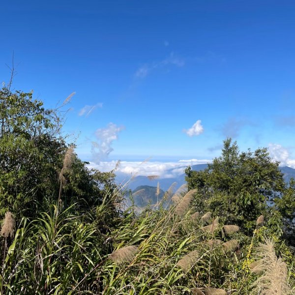 小百岳(60)-奮起湖大凍山-202201091691109