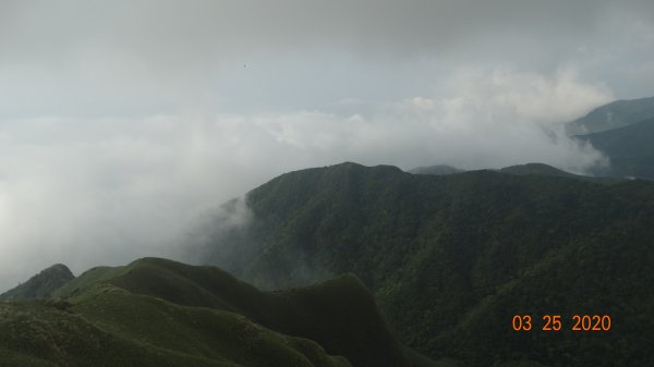 蒼天不負苦心人，再度陽明山雲海891434