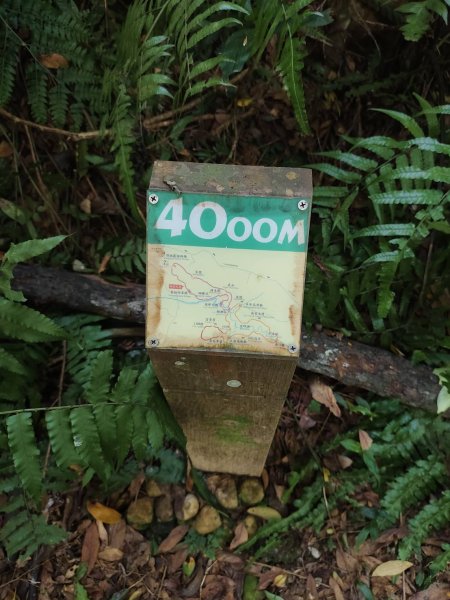 林口頂福巖森林步道2838108