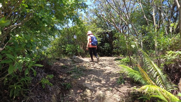 (姨婆趴趴走)第四十三集:攀登連走奇岩山、軍艦岩、丹鳳山2499549