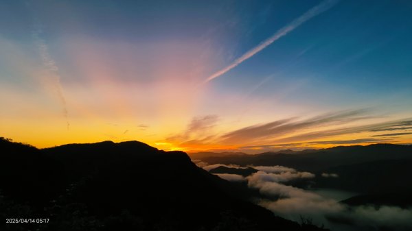 #翡翠水庫壩頂 #日出雲海 #火燒雲 #霞光 #月圓 #松月櫻 #鱷魚島雲海 4/14 & 162760633
