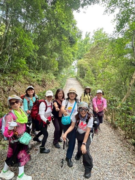 林美石盤步道 淺山縱谷 賞瀑 看樹好地方3053936
