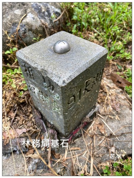 鳴鳳古道(苗栗/獅潭)2572410