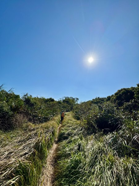 恆春大縱走:鎮南宮-赤牛嶺-大山母山(小百岳#81)-南灣出2963949