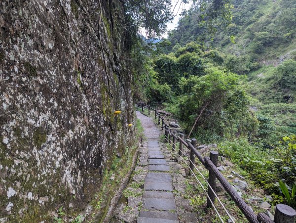 捎來步道。谷關吊橋。捎來吊橋1743961