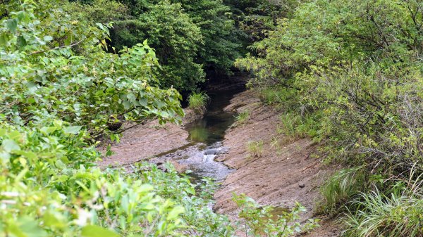 貂山古道,琉榔路觀光步道2590534