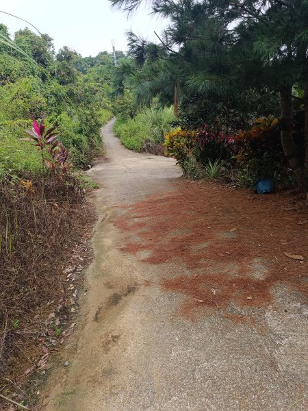 霧峰阿罩霧山2876955