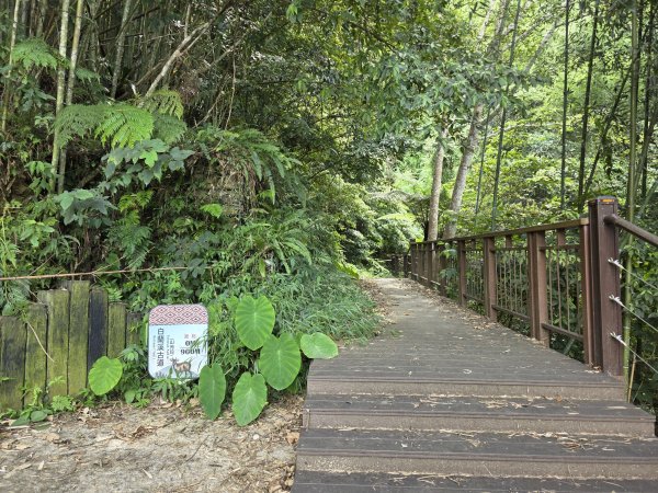 [皮皮獅探險隊-10/10] 2025_0816 白蘭溪古道2862939