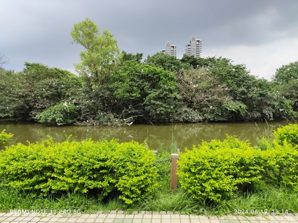 大安森林公園、安湖三號公園【走路趣尋寶，全臺齊步走】2530646