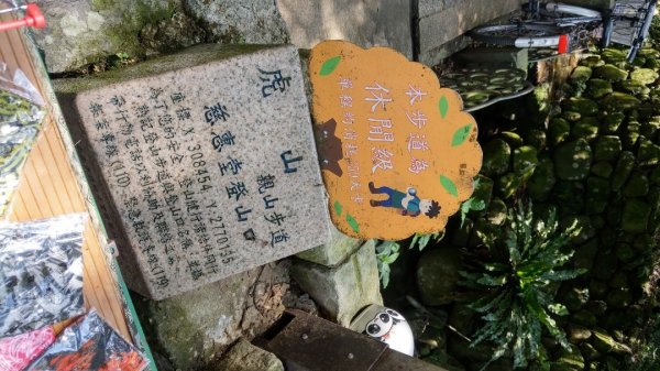 虎山峰 虎山自然步道 虎山溪步道938653