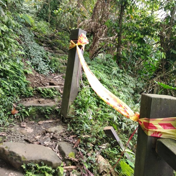 步道巡訪員 l 崁頭山步道884617