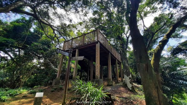 《新竹》青青石階｜娥眉藤坪步道及萬佛庵步道202509132883894