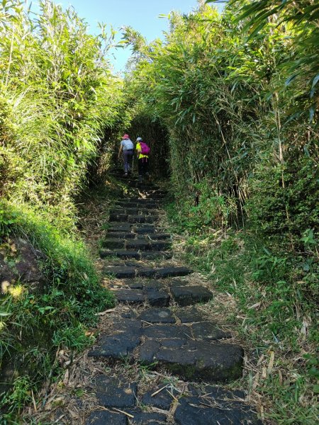 2023.09.09 七星山主、東峰步道2481039