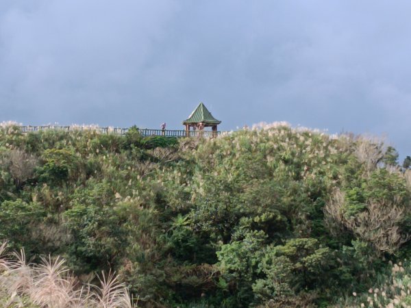 雙溪區不厭亭+草山公路+牡丹山+不厭亭+金字碑古道(探幽亭)+三貂崙+不厭亭8字走2941901