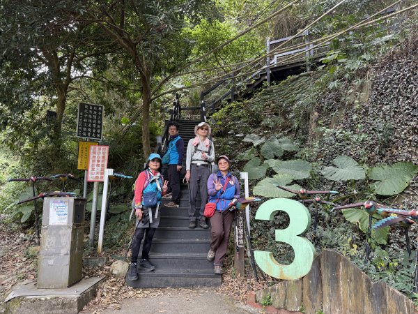 頭嵙山二嵙山O形2690490