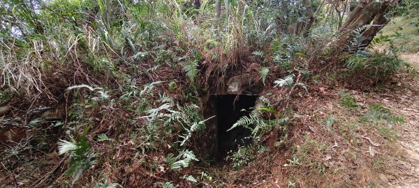 2025/10/19_大北坑休閒農區+福人登山步道2920842