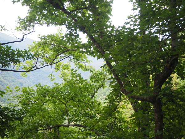 《宜蘭》小太魯閣｜礁溪林美石磐步道201805172889158