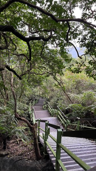 小百岳_大崙頭山2959956