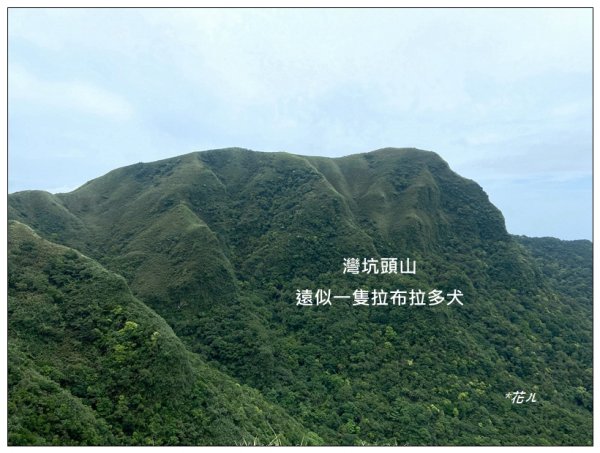 灣坑頭山(小百岳)內寮線、大溪線、草嶺線連走2529375