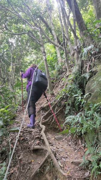 桃園金面山(小百岳021 H667M)2021-09-101471800