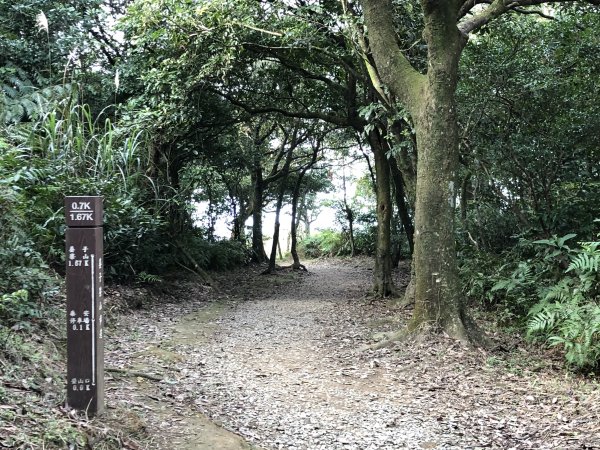 台灣小百岳No.011姜子寮山908421