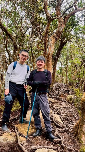 🌈12/28（日）北得拉曼神木+內鳥嘴山✨FB：熊熊趴爬走🌈2971292