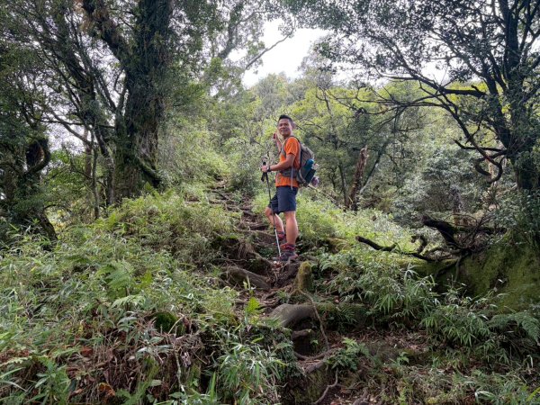 哈勘尼山-加里山【完美收官完登小百岳】2942458