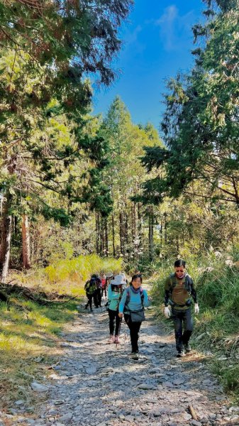 三星山(小百岳#85) 鳩之澤溫泉煮蛋趣2952845