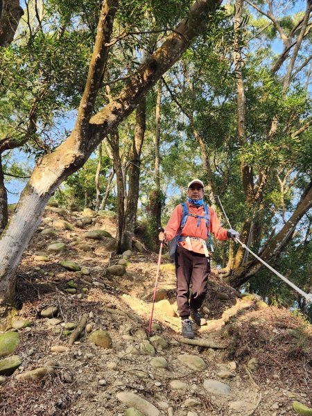 【田中秘境】田中大小劍+小奇萊O繞2719658