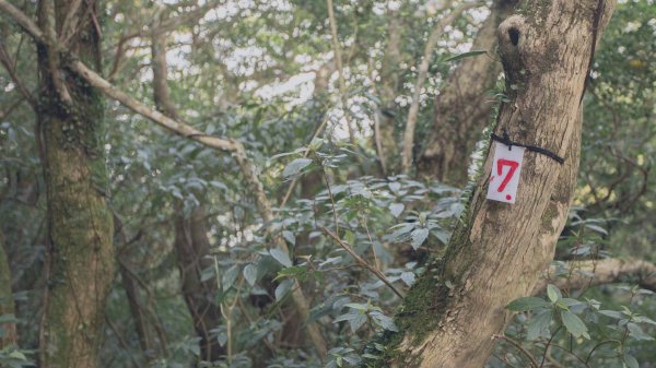 雨鞋登山初體驗-大屯山南峰、大屯山西峰連走1647920