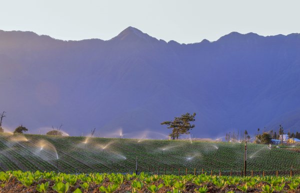 秋遊福壽山順走合歡溪步道690355