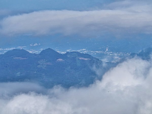 觀霧國家森林 榛山步道 觀霧瀑布 檜山巨木 雲霧步道1893301