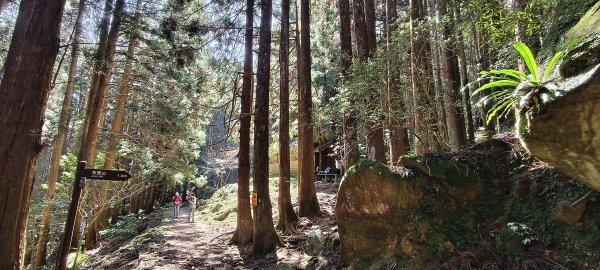 2026/03/18 加里山+大坪山 O型3020016