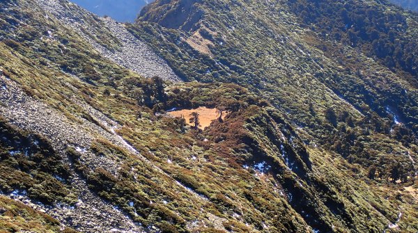 雪山西峰/博可爾山/翠池三叉山與五翠池悠閒走探的山遊記(三日)2838511