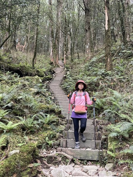 八仙駐在所 上 東八仙 接 八仙山 O繞 2023/07/082216881