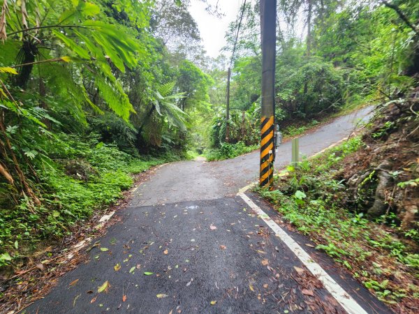 20250427大山背山田寮山毬子山騎龍山2933644