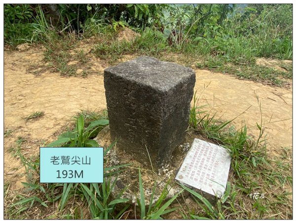 金龍湖、鷹石尖、老鷲尖、內溝山 O型一圈2966627