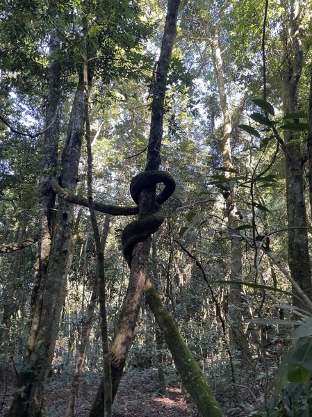 加里山隘勇線2913114