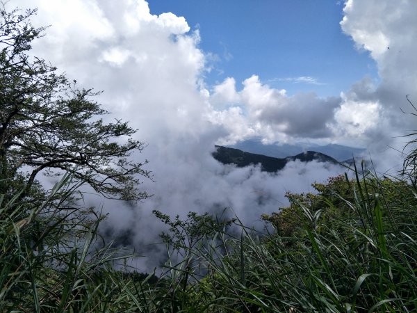 神阿縱走-大塔山1688543