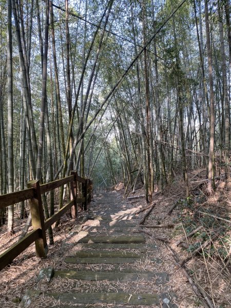 1140112出水坑篤鼻山步道2690782