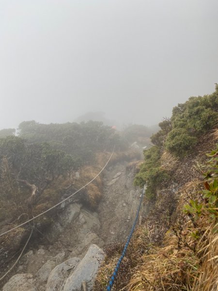 奇萊主山、奇萊北峰890807