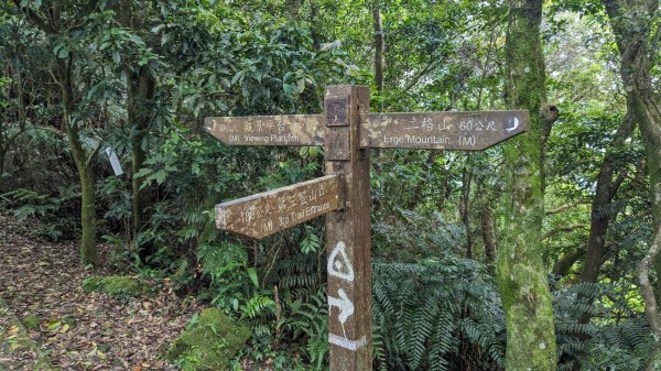 二格山登山步道 栳寮線2501000