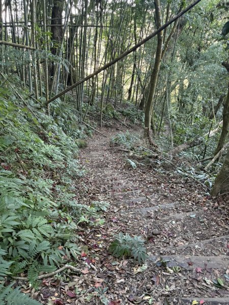 20251221嘉南雲峰、石壁山登山步道2968096