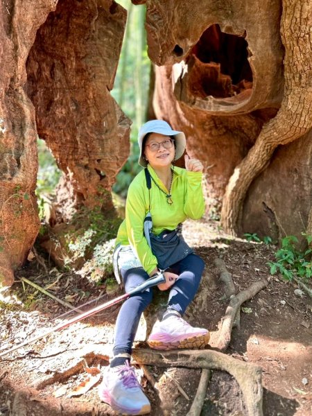 九穹神木 左訪嘉南雲峰 右到好望角看風景上石壁山(小百岳#55)2944813
