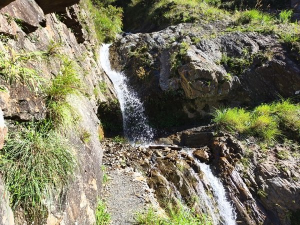 [玉山尋寶任務-07/12] 2025_0824 八通關雲龍瀑布步道2870649