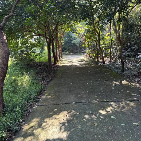 20250927 彰化－臺灣百大必訪步道坑內坑森林步道2969090