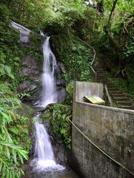 孝子山步道連走東勢格越嶺古道196923