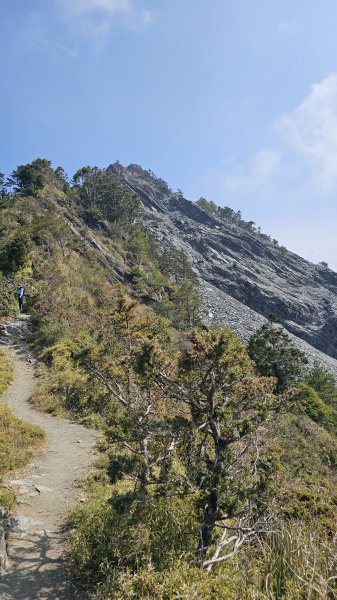 【閒閒南橫摘星去！】百岳#077關山嶺山。美麗壯闊中卻帶點淡淡哀愁的南橫公路。3036072