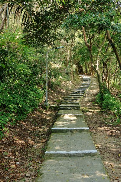 忠勇山。鯉魚山535912